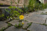 Between the Cracks
