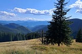 Sounds of the forest: results of an acoustic experiment