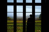 A silhouetted woman looks out a window at a vineyard at a Napa winery.