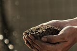 Closeup of someone holding dirt in their cupped hands.