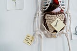 What is a Gut Microbiome, and Why Is It So Complex?