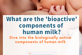What are the ‘bioactive’ components of human milk?
