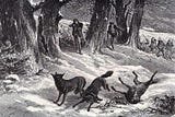 When wolves roamed wild near Monmouth