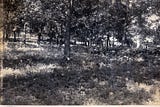 The day Coxey’s Army invaded Monmouth