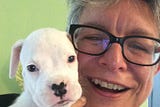 A fundraiser in honor of Julie Gomoll