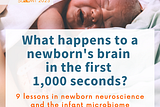 What happens to a baby’s brain in the first hour after birth? Why is skin-to-skin so important and other lessons on infant neuroscience and the microbiome.