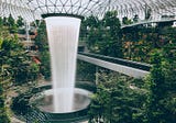 Green by Design: How Nature-Friendly Designs Boost Corporate Bottom Lines