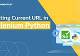 Selenium with Python Tutorial: How to Get Current URL with Python
