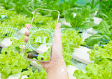 Fresh Food & Produce Traceability Software
