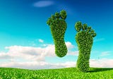 Carbon Footprint: Meaning, Calculation, And Reduction — Climate Carbon