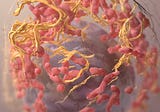 How a Vitamin Transporter Can Be Used As a Cancer Therapeutic