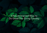 5 Nature-Inspired Ways to Do Good This Giving Tuesday