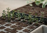 How to Prepare Seedbeds for Spring Sowing