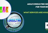Agile Consulting Services for Your New PMO — What Services Are Available?