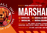 Marshall Inu launches the Marshall Fighting Championship!