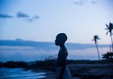 6 Scenes from ‘Moonlight’ That I Still Dream About — Shadow and Act
