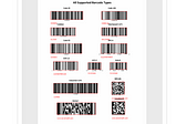 Developing a Web Application for Reading Multiple Barcodes with Go and HTML5