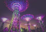 Emerging Markets VC & Startups: What Emerging Markets Can Learn from Singapore