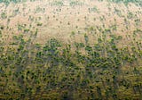 Africa’s Great Green Wall