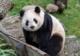 Pandas 2.0: A Faster Version of Pandas with Apache Arrow Backend