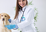 Which Veterinary Resources Are Available For Your CE Credits?