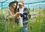 Unleash Your Garden’s Potential: Discover the Essential Vegetable Gardening Apps That Will…