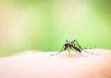 Diminishing the Dengue Danger: Predicting future dengue outbreaks using Machine Learning on…