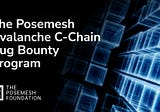 The Posemesh Avalanche C-Chain Bug Bounty Program