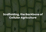 Scaffolding, the Backbone of Cellular Agriculture