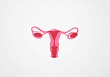 Scientists Bring Renewed Attention to A Long-Dismissed Part of the Female Reproductive System