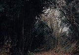 Finding Hope in all Things