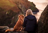 My Dog Helped Me Escape My Narcissistic Husband