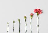 Growth