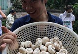 A crazy Japanese and his mushrooms