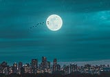 The Night Silence