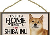 Can Shiba Inu (SHIB) 100x ??