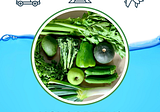 How green are your fruit and veg?