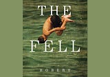The Fell by Robert Jenkins