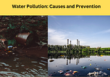 Water pollution: causes, effects, and solutions