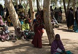 Climate Change, Insecurity, Women and Vulnerable Groups In Nigeria
