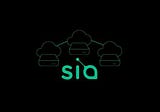 Sia: Blockchain’s Brightest Star