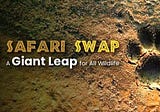 SafariSwap: A brief introduction