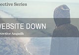 Detective Series —  Website Down