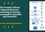 Neurocomputing: Brain Organoid Reservoir Computing Brings Hope to Solving NeuroHIV & Cognitive…