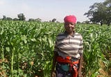 Binta Yahaya Benefits from Improved Maize Seed Varieties and other Farm Inputs