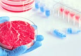 Proteins from plants and microorganisms help commercialize cell-based meat