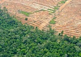 System Mapping in Action: Deforestation in Peru