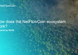 How does the NetFlowCoin ecosystem work?