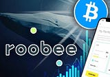 Roobee is an international investment platform