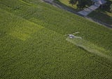 How Illinois’ ‘fragmented system’ of monitoring pesticide exposure ‘allows individuals to get…